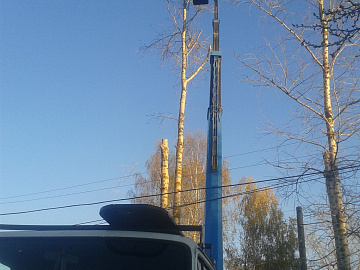 Кронирование деревьев