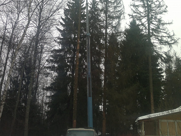 Кронирование деревьев