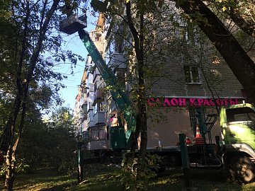 Кронирование деревьев